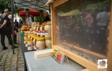 Święto Kaszy 2024 56