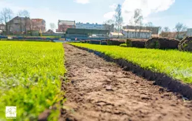 Wizyta Orła PZPN w Trzebiatowie! 10