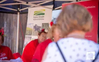 Historyczne Żniwa w Gosławiu 47