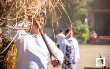 Historyczne Żniwa w Gosławiu 49