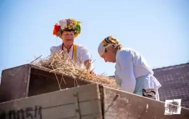 Historyczne Żniwa w Gosławiu 52