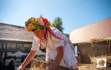 Historyczne Żniwa w Gosławiu 58