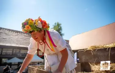 Historyczne Żniwa w Gosławiu 59