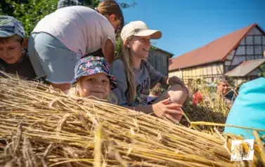 Historyczne Żniwa w Gosławiu 61