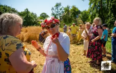 Historyczne Żniwa w Gosławiu 86