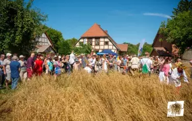 Historyczne Żniwa w Gosławiu 100