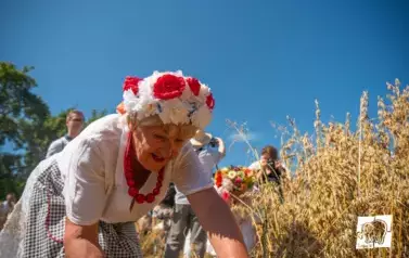 Historyczne Żniwa w Gosławiu 105