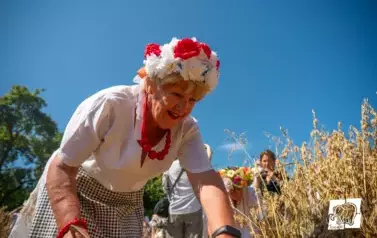 Historyczne Żniwa w Gosławiu 106