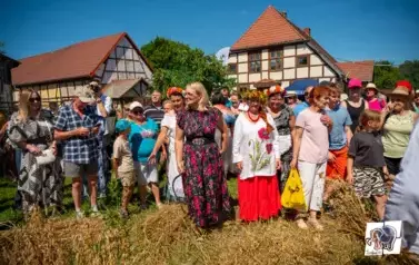 Historyczne Żniwa w Gosławiu 109