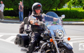 Galeria aktualności Piknik Motocyklowo-Rockowy &bdquo;SŁONINA 2025&rdquo; &ndash; moc silnik&oacute;w i rockowego brzmienia w Trzebiatowie! 65