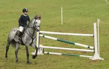 Zawody konne w skokach przez przeszkody. Nowielice, 7 lipca 2012 1