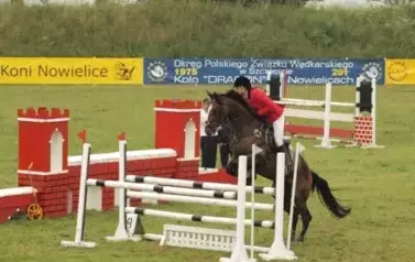 Zawody konne w skokach przez przeszkody. Nowielice, 7 lipca 2012 4
