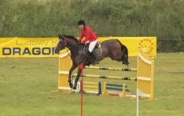 Zawody konne w skokach przez przeszkody. Nowielice, 7 lipca 2012 6