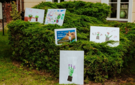 Galeria aktualności Aromatyczny Zakątek w Ogrodach Pałacowych 36