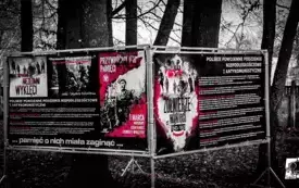 Galeria aktualności Relacja z X edycji Biegu Tropem Wilczym w Trzebiatowie 157