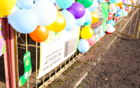 Galeria aktualności Bieg Kolorowych Skarpetek &ndash; Dzień Świadomości o Osobach z Zespołem Downa 14