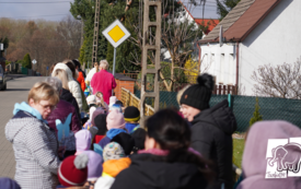 Galeria aktualności Niebieskie Igrzyska w Przedszkolu im. Słonia w Trzebiatowie 27