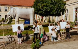 Galeria aktualności Aromatyczny Zakątek w Ogrodach Pałacowych 26