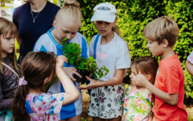 Galeria aktualności Aromatyczny Zakątek w Ogrodach Pałacowych 30