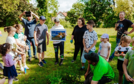 Galeria aktualności Aromatyczny Zakątek w Ogrodach Pałacowych 32