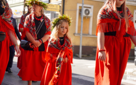 Galeria aktualności Dożynki Powiatowo&ndash;Gminne w Trzebiatowie 68
