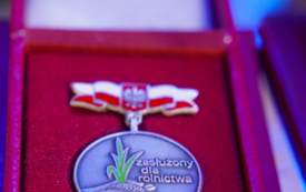 Galeria aktualności Dożynki Powiatowo&ndash;Gminne w Trzebiatowie 138