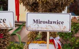 Galeria aktualności Dożynki Powiatowo&ndash;Gminne w Trzebiatowie 172