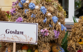 Galeria aktualności Dożynki Powiatowo&ndash;Gminne w Trzebiatowie 174