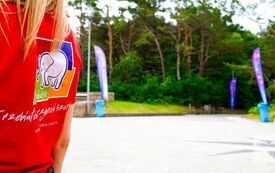 Galeria aktualności Święto Latawca wr&oacute;ciło do Mrzeżyna! 7