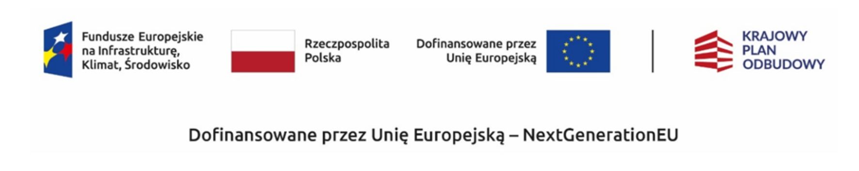 projekt
