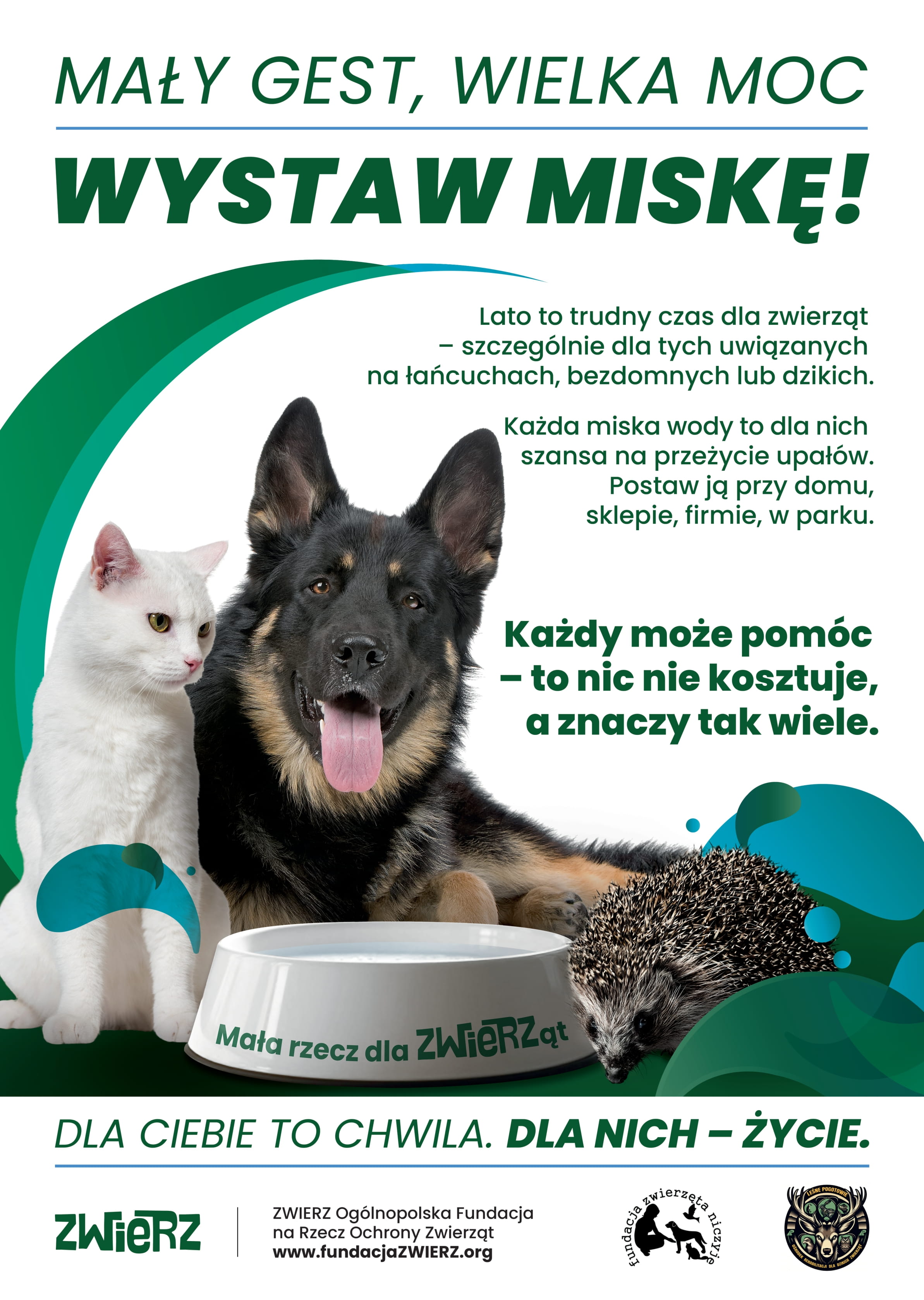 Wystaw miskę dla zwierzaka