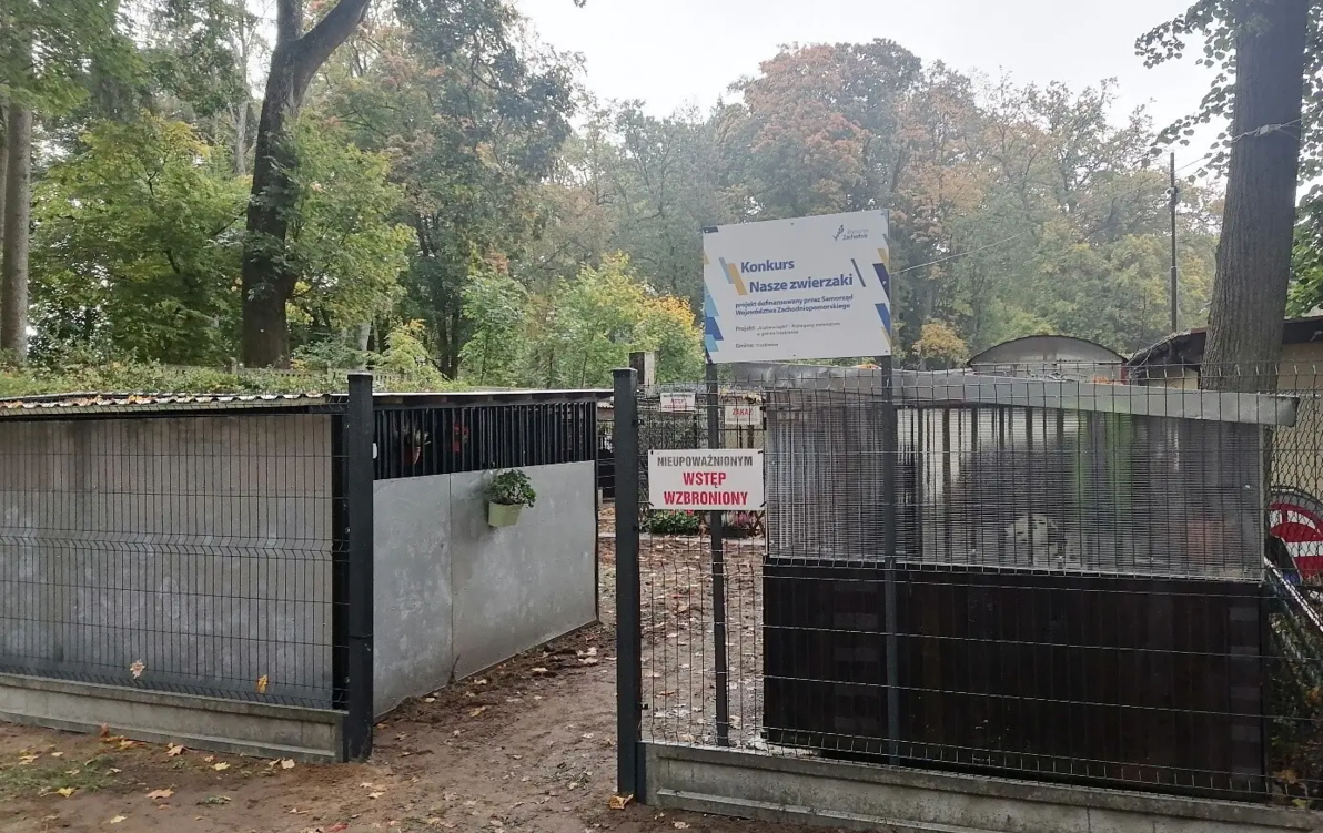 Zdjęcie do &bdquo;Ocalone łapki&rdquo; &ndash; pomagamy zwierzętom w gminie&nbsp;Trzebiat&oacute;w