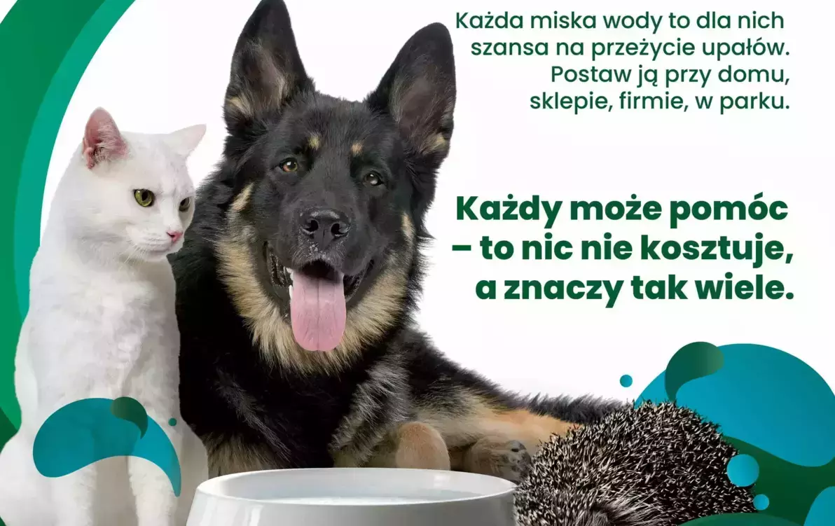Zdjęcie do MAŁY GEST, WIELKA MOC. WYSTAW MISKĘ !