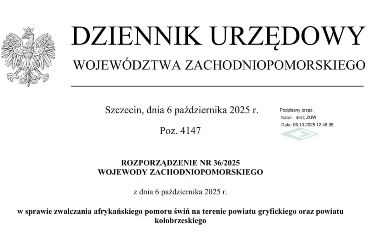 Zdjęcie do ROZPORZĄDZENIE WOJEWODY ZACHODNIOPOMORSKIEGO WS. ZWALCZANIA AFRYKAŃSKIEGO POMORU ŚWIŃ.